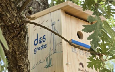 Dos Grados organiza una jornada de ornitología en Fundão